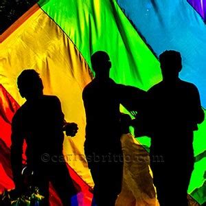 Cura gay é arquivada pela Câmara dos Deputados Blog do Carlos Britto