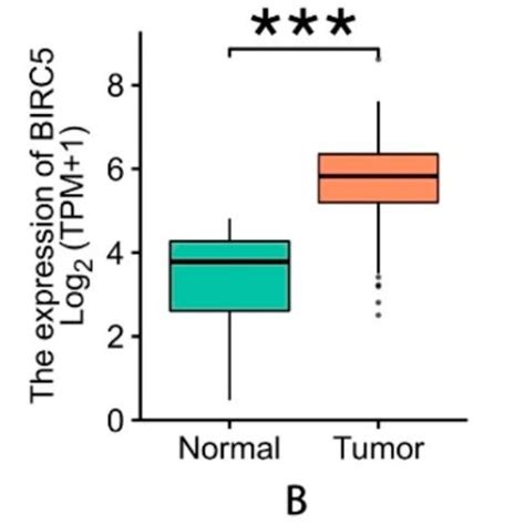 Bioinformatics Analysis Of Hsp And Survivin In Oscc Mrna Expression