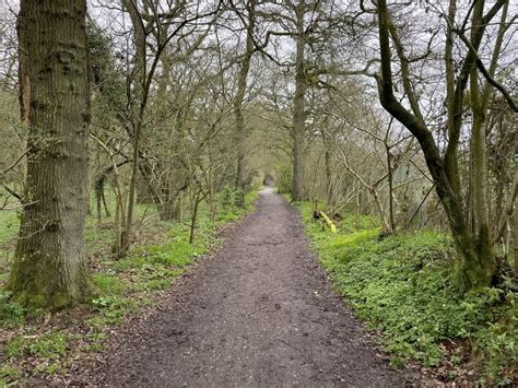 Oakley Multi Users Path In Well S Copse Mr Ignavy Cc By Sa 2 0