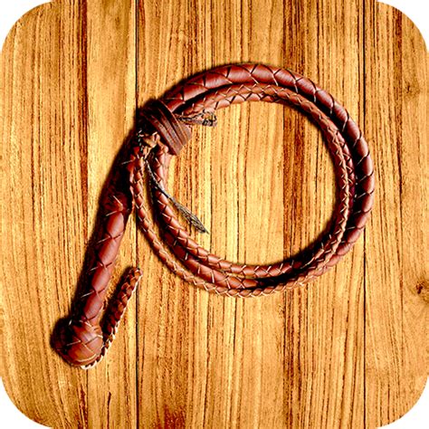 whip simulator pocket whip pc