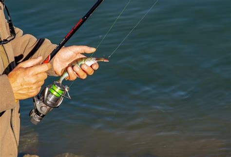 MÉDIO TEJO PCP garante que não há razões para pensar que a pesca