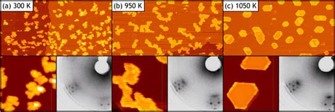 STM Topographs After Growth With Identical Synthesis Parameters But