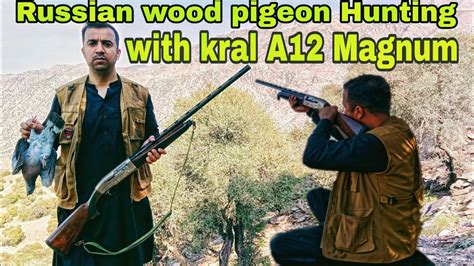 Russian Wood Pigeon Hunting With Kral New Gun A12 Magnum Silver 2024