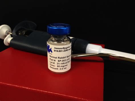 is it normal rabbit hyperactive at home 2