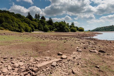 llwyn images browse  stock  vectors  video adobe stock