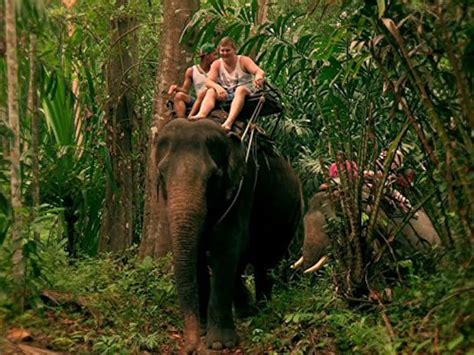 Sun Sex Suspicious Parents Pisode Pisode T L Vis Imdb