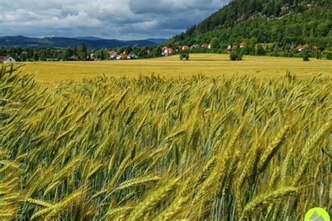 Krucza Skala Punkt Widokowy G Rskie Wyrypy