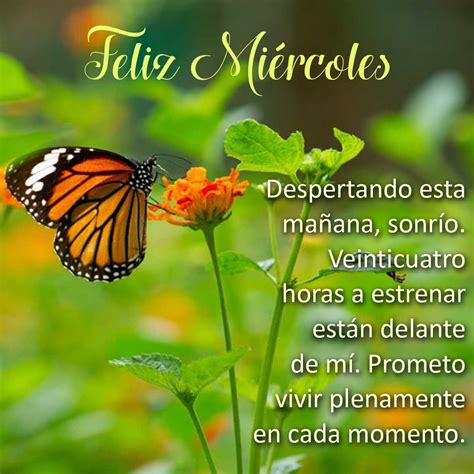 Feliz Miercoles Frases