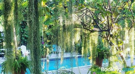 Orchid Cottage Updated 2024 Prices And Hotel Reviews Jamaicakingston