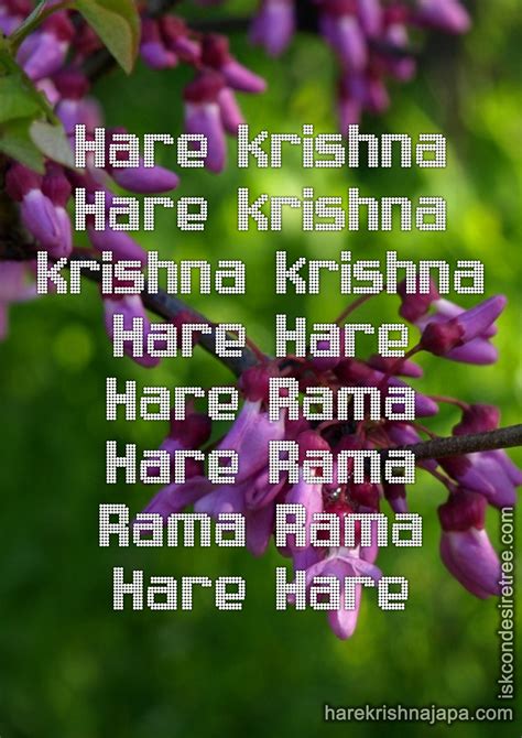 hare krishna maha mantra  hare krishna japa