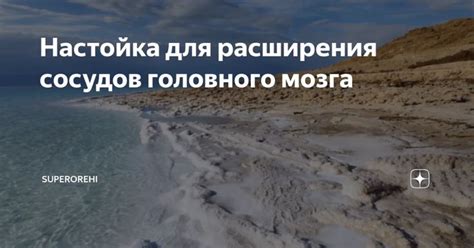 Настойка для расширения сосудов головного мозга | Beach, Outdoor, Water