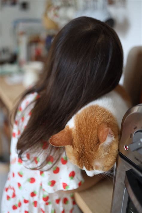 ようやく！ 双子猫のアメカヌちゃん＆そら