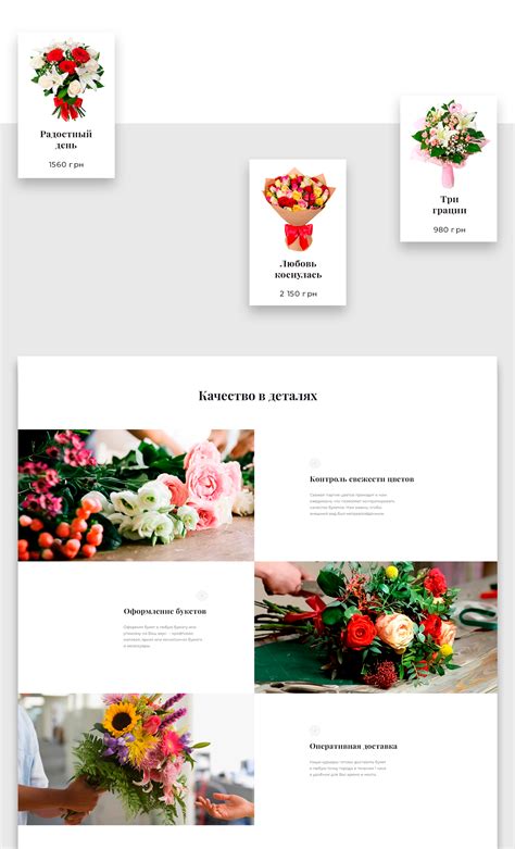 petal  behance