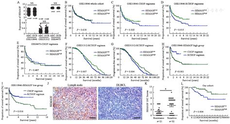 Reverse Effect Of Semaphorin F On Rituximab Resistance In Diffuse