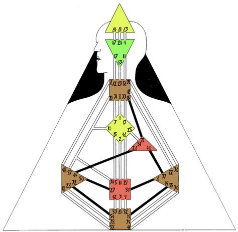 Human Design Spirituelles Coaching Schaltkreise Im Human Design