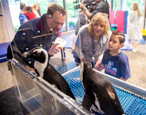 PHOTOS: Mystic Aquarium Penguins visit The Mayer Center