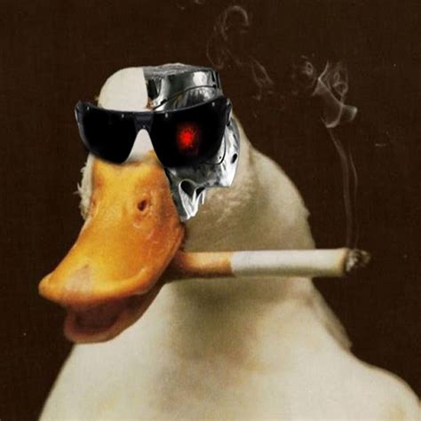 Фото Гуся В Очках И В Капюшоне – Telegraph