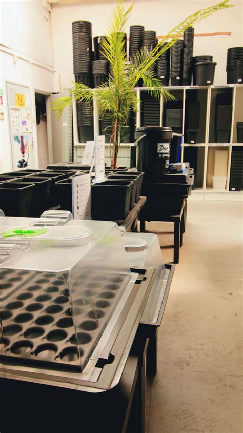 Shops Picture Gallery Babylon Grow Shop