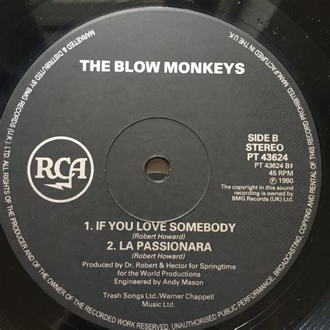 ヤフオク 12inch THE BLOW MONKEYS SPRINGTIME FOR THE