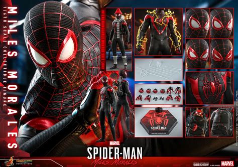 Miles Morales Sixth Scale Collectible Figure By Hot Toys Sideshow