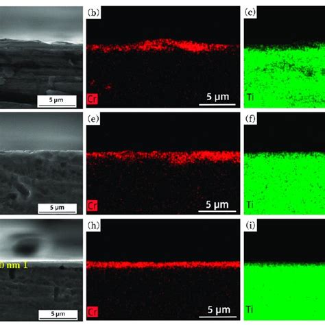 Cross Section Eds Mapping Of Ti Cr Alloy Coating Formed By A C