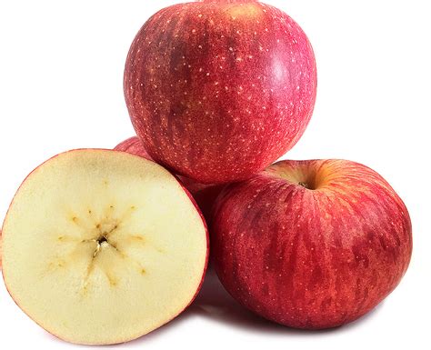 Sekai Ichi Apples | Apple, Apple information, Apple varieties