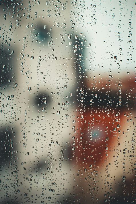 Transparent Background Photos, Download The BEST Free Transparent ...