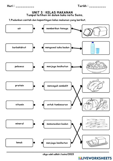 Sains Tahun 3 Padankan Kelas Makanan Live Worksheets