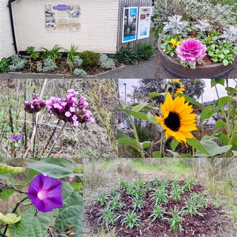 Heritage Tourism Increases in Dunwich and Saxmundham, Suffolk 14