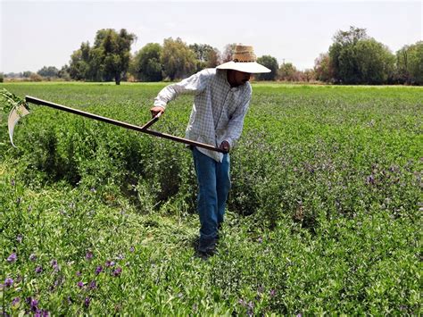 GARANTIZA GOBIERNO PROTECCIÓN A PRODUCTORES ANTE CONTINGENCIAS