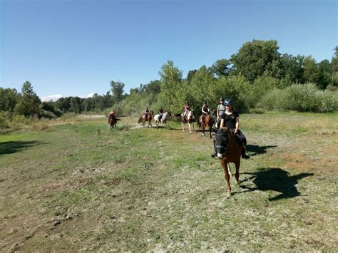 Passeggiate A Cavallo Milano A Partire Da 35 Freedome