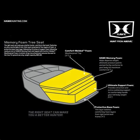 Hawk Watching Tips for Birdwatchers and Nature Enthusiasts – Hunting