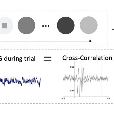 A Schematic Representation Of The Stimuli During A Trial And