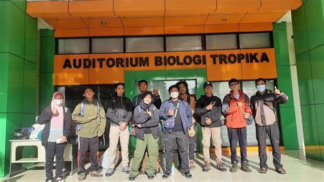 Menyapa Lebah Bangbara Gunung Bombus Rufipes Di Kawasan Taman Nasioal