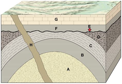 Solved Place The Following Geologic Events In The Order Of Their