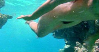 Phoebe Cates Showing Her Nice Big Tits And Hairy Pussy In Water Porn Pictures XXX Photos Sex