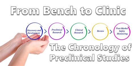 From Bench To Clinic The Chronology Of Preclinical Studies Itr