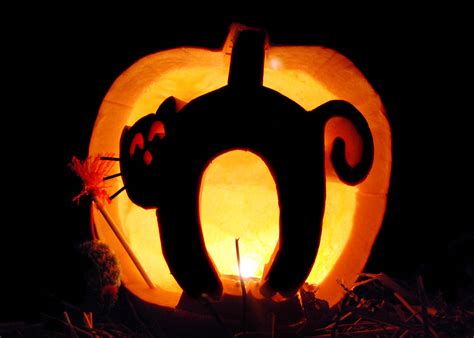 10 Cat Pumpkin Carving Ideas