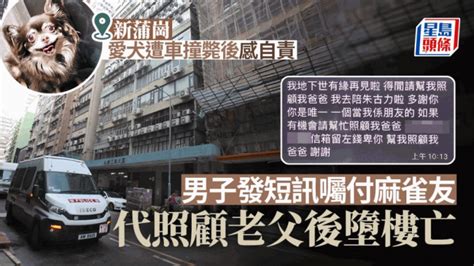 愛犬撞斃後感自責 男子發短訊麻雀友代照顧老父 新蒲崗工廈墮樓亡 星島日報