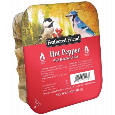14377 Wild Bird Food Suet Hot Pepper 11 Oz