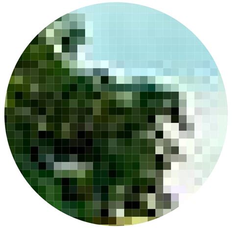 Differences Between Vector And Bitmap Images Pcgs Blog