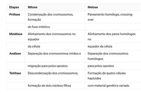 Diferencas Entre Mitose E Meiose - 10