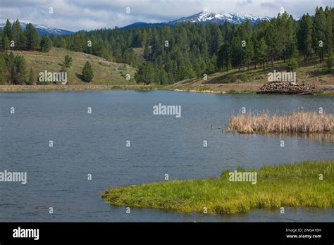 Bates Pond Bates State Park Oregon Stock Photo Alamy