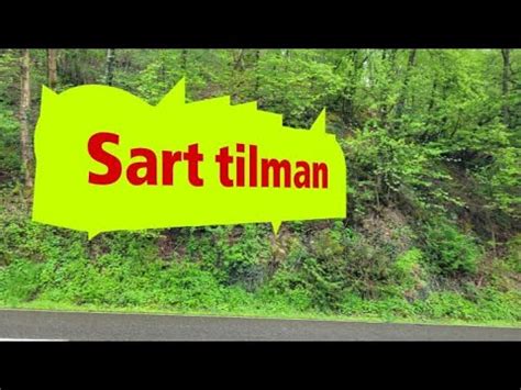 Sart Tilman Belgique Shortvideo Centre Tude Viralshort