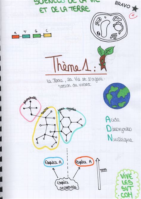 Sciences Et Vie De La Terre 6e Manuel De L A C La 4