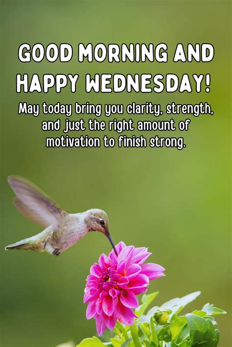 Wednesday Quotes Hump Day Dwayne Johnson Quote “to Some Its Hump