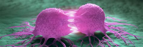 Psychoonkologische Beratung für Krebspatienten | Krebs.de