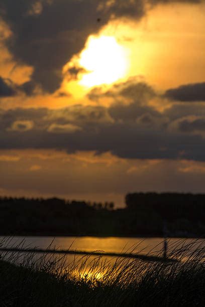 Lake Shorline Stock Photos Pictures And Royalty Free Images Istock