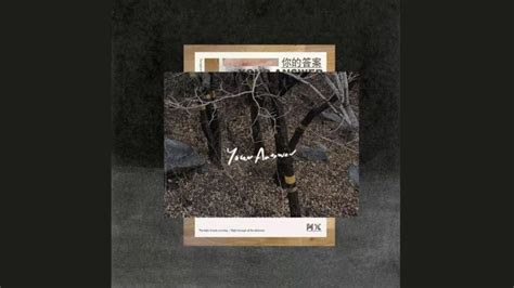 Top B I Nh C Tiktok Trung Qu C Remix Hot M I Nh T