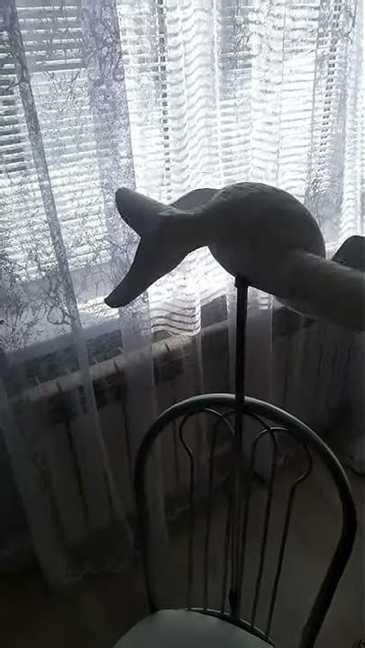 чучело утки махокрыл своими руками - YouTube